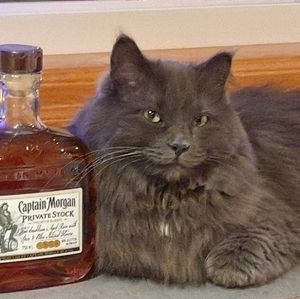 Meet your Posher, Sherry